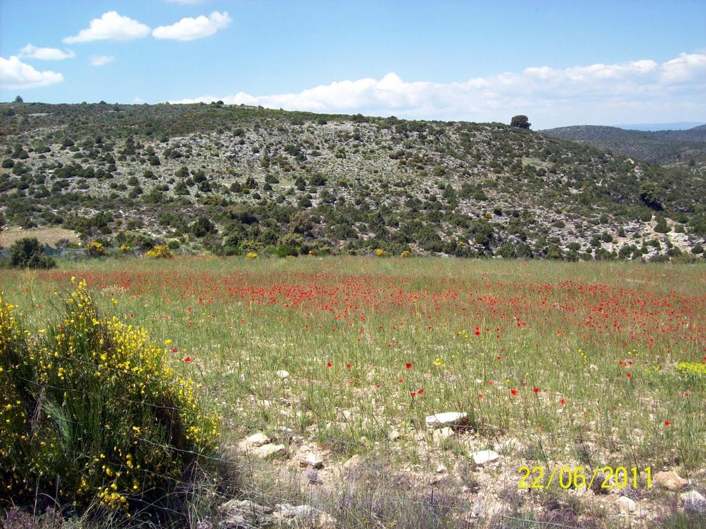 Sol Mediterraneo Archena Εξωτερικό φωτογραφία