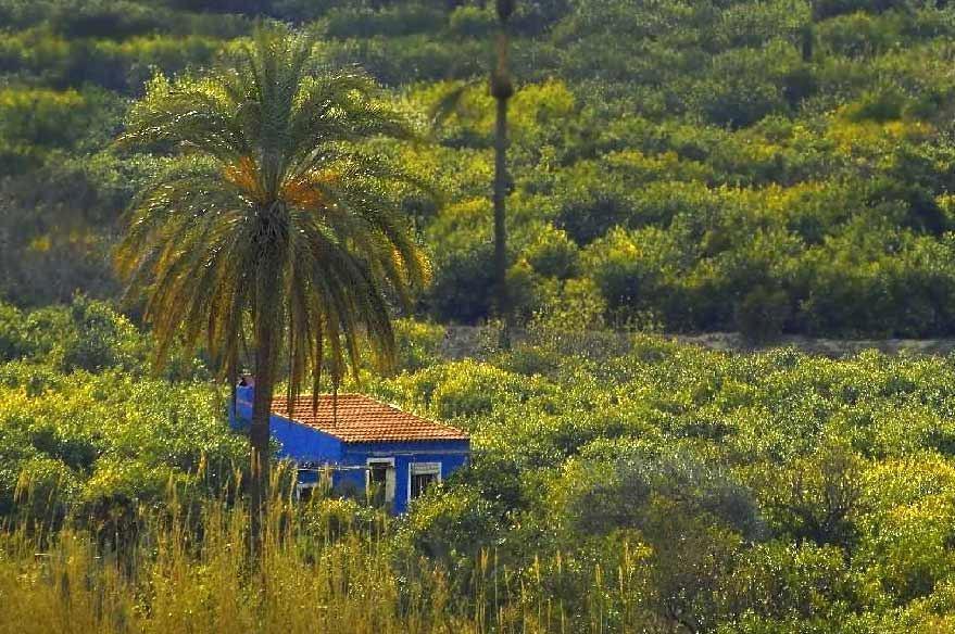 Sol Mediterraneo Archena Εξωτερικό φωτογραφία