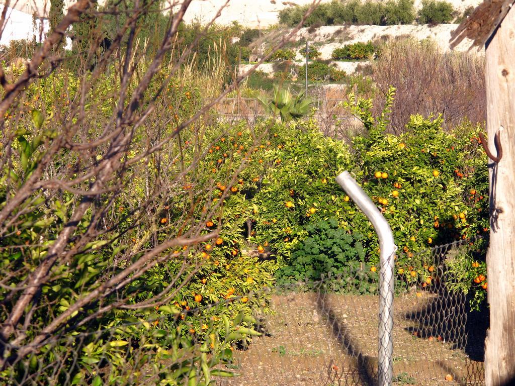Sol Mediterraneo Archena Εξωτερικό φωτογραφία