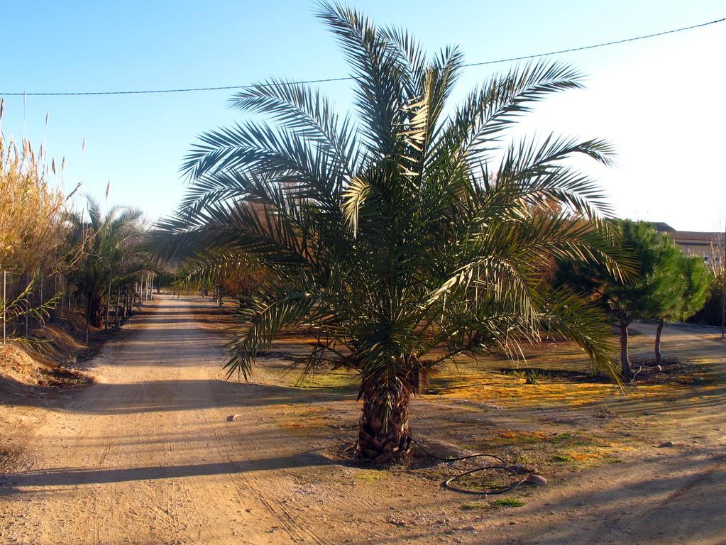 Sol Mediterraneo Archena Εξωτερικό φωτογραφία