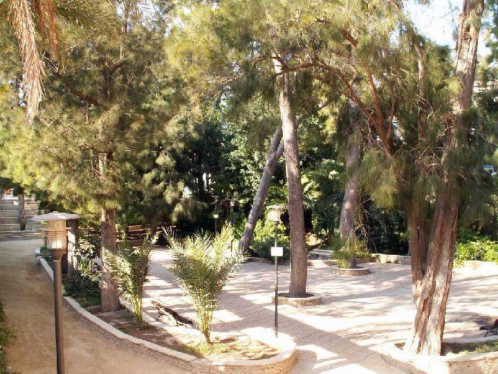 Sol Mediterraneo Archena Εξωτερικό φωτογραφία